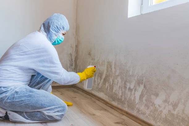 Licensed Mold Cleanup service in Atlantic, VA - WQB Mold Removal